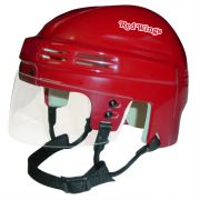 Detroit Red Wings Mini Helmet — Red